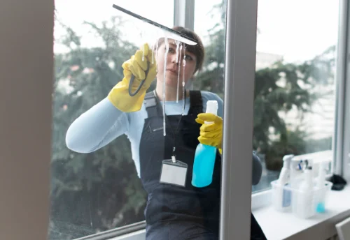 Nettoyage de vitres intérieures et extérieures aux Paroches